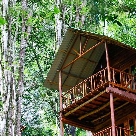 Ella Ecolodge מראה חיצוני תמונה
