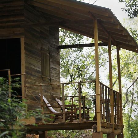 Ella Ecolodge מראה חיצוני תמונה