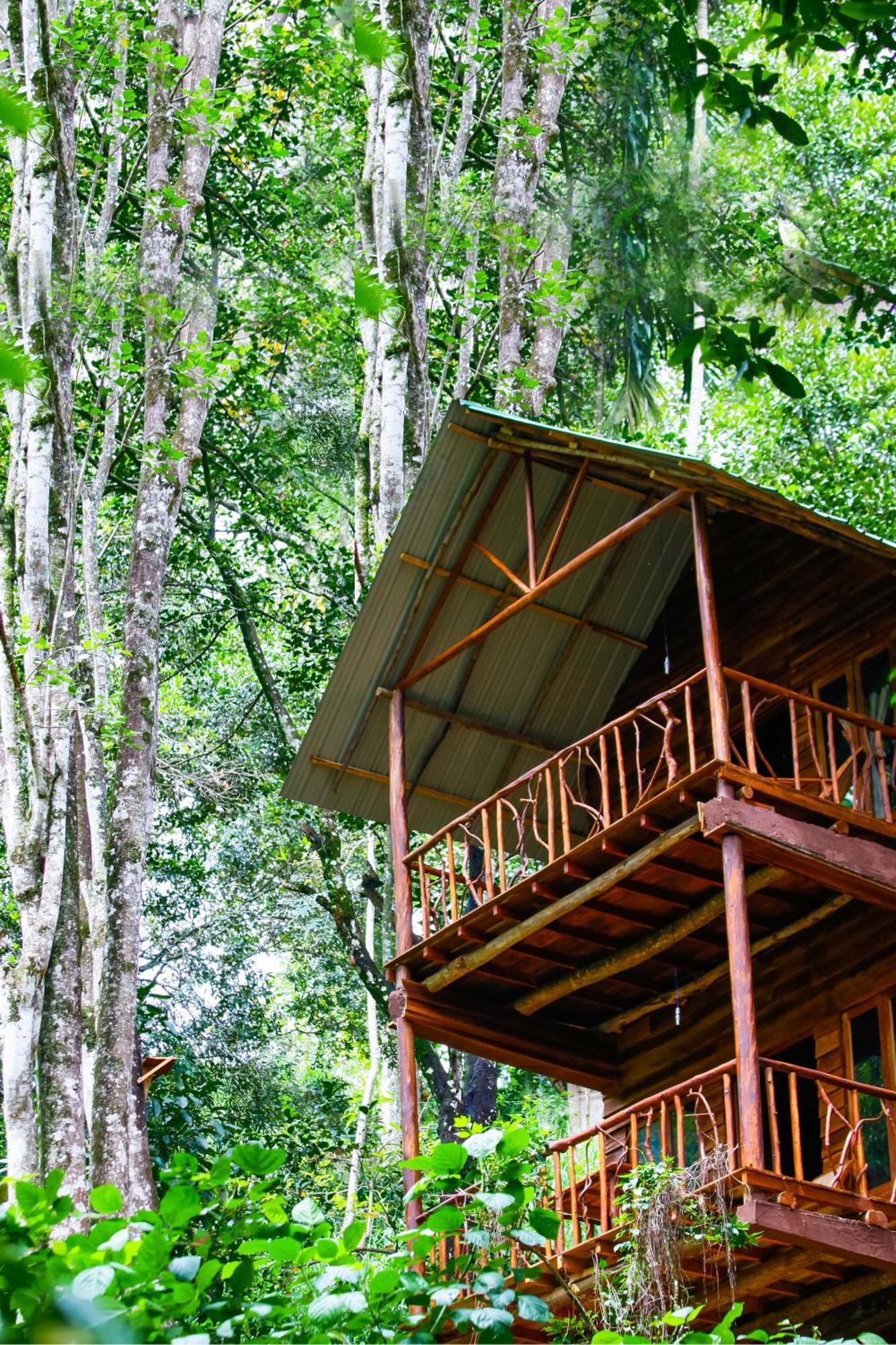 Ella Ecolodge מראה חיצוני תמונה