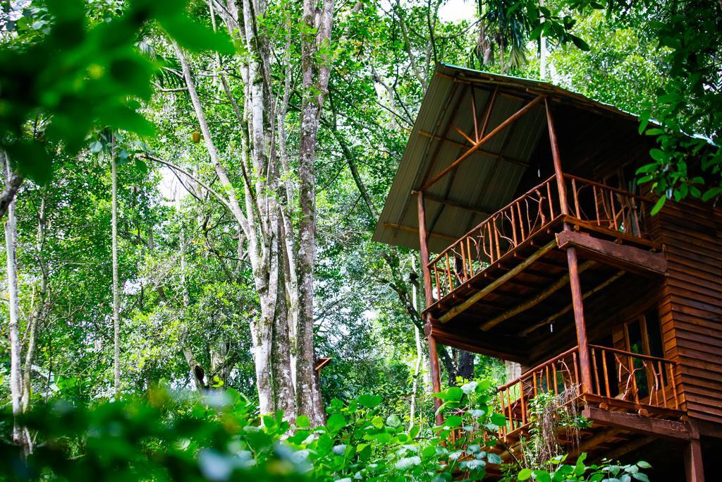 Ella Ecolodge מראה חיצוני תמונה