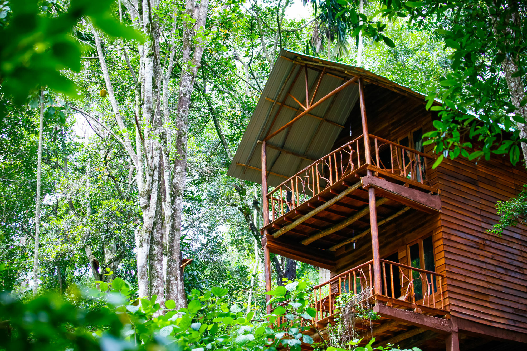 Ella Ecolodge מראה חיצוני תמונה