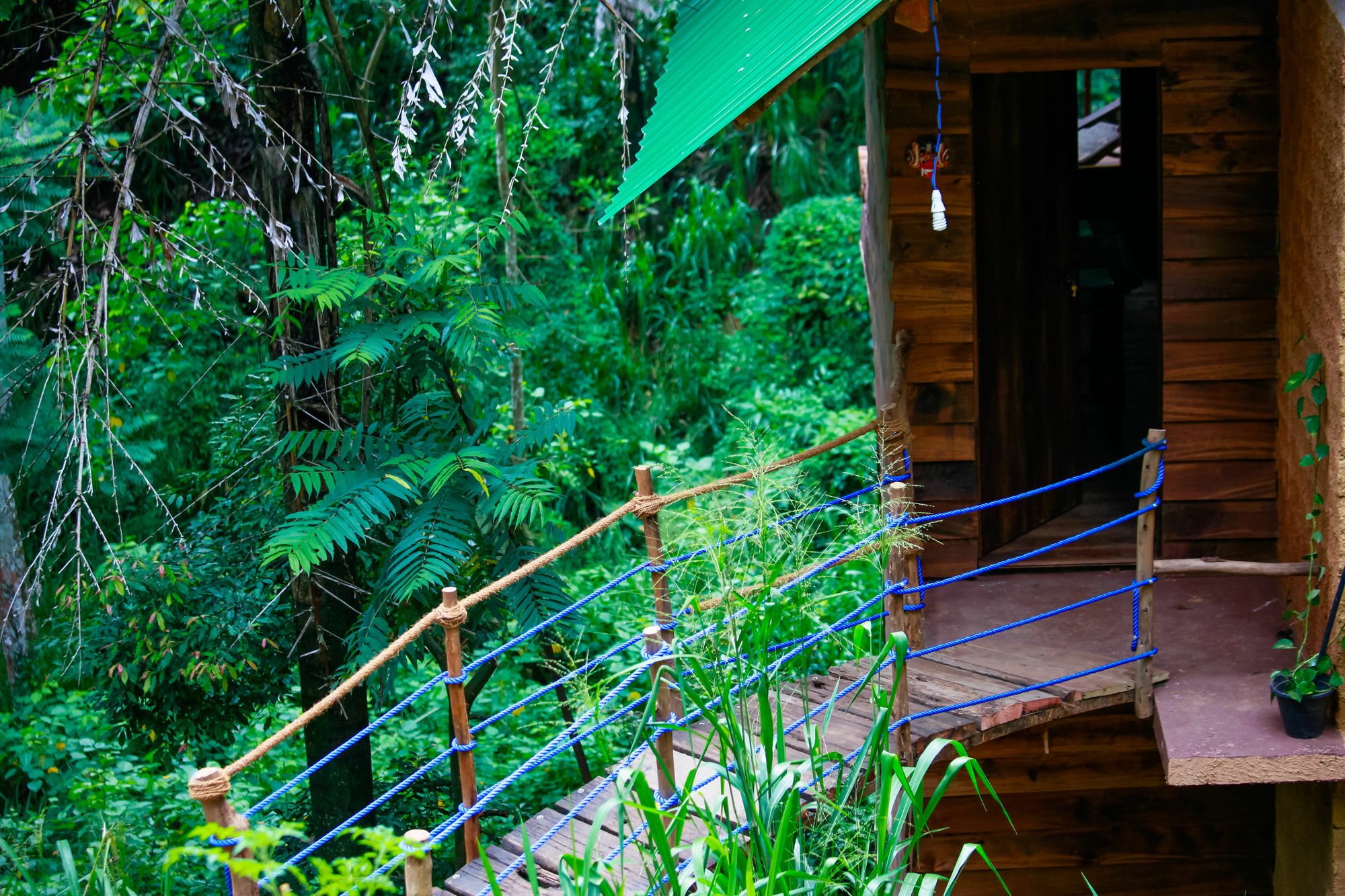 Ella Ecolodge מראה חיצוני תמונה