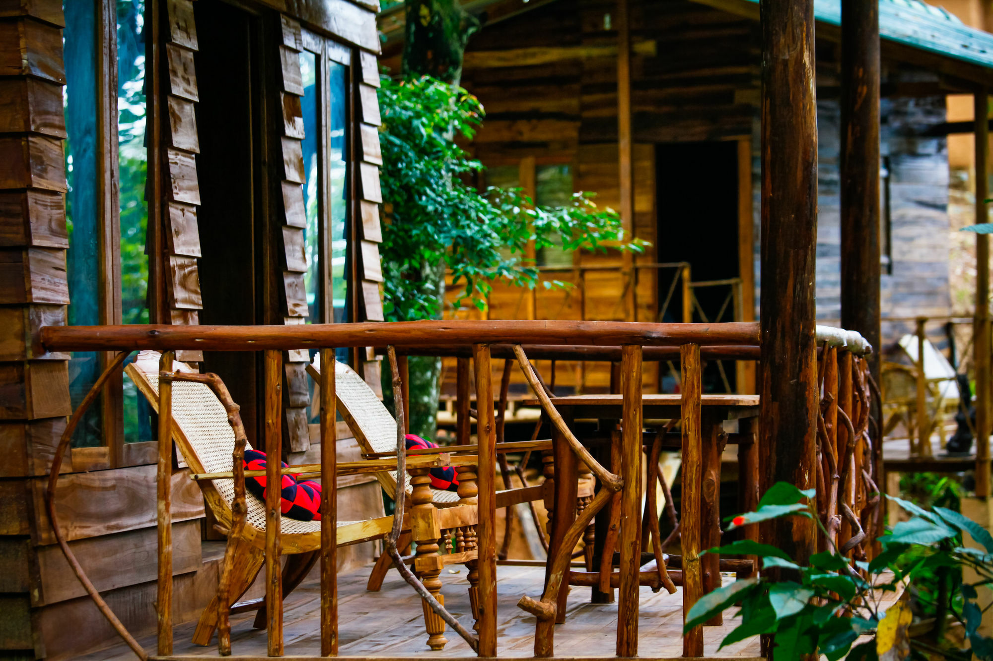 Ella Ecolodge מראה חיצוני תמונה