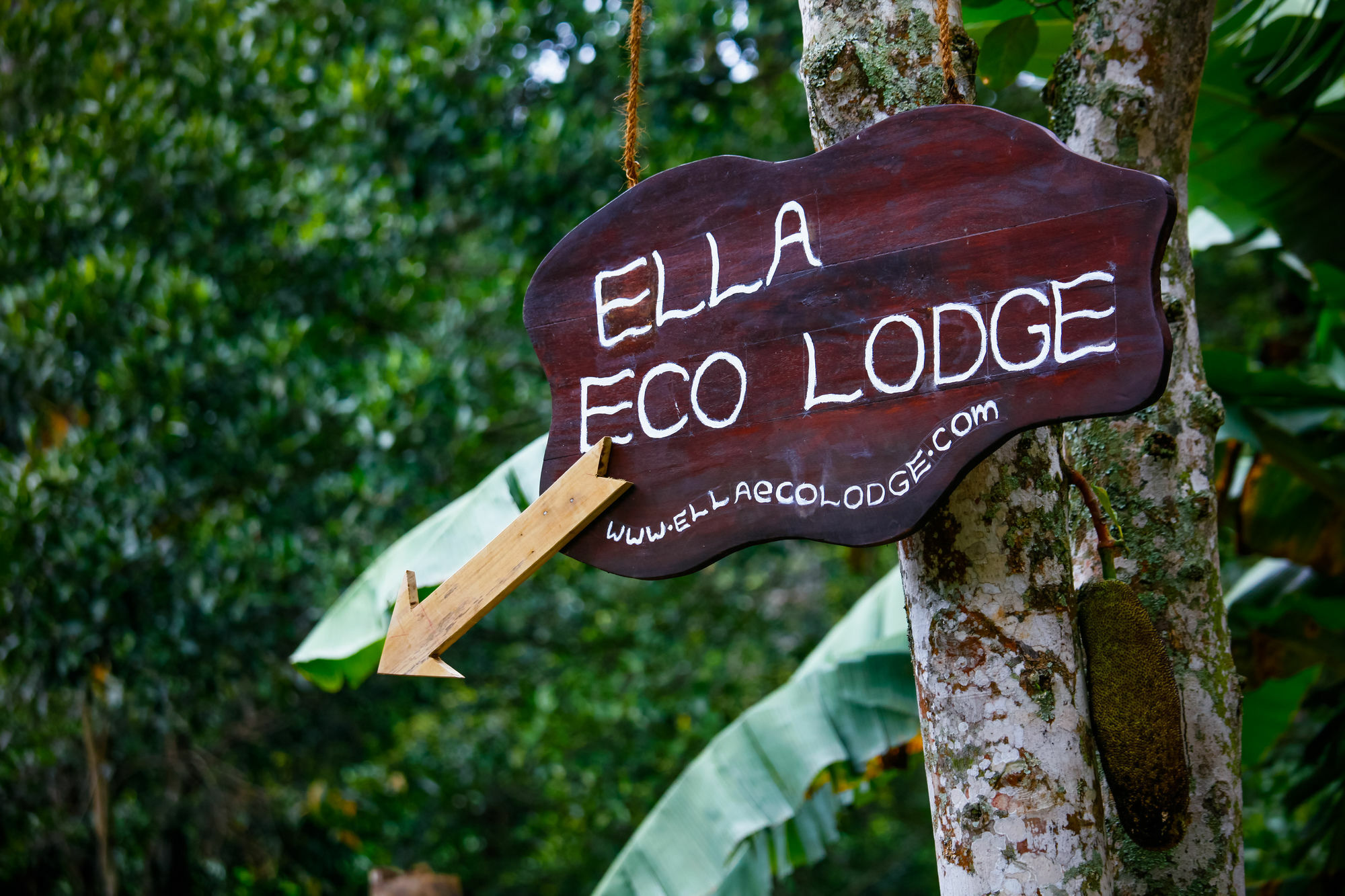 Ella Ecolodge מראה חיצוני תמונה