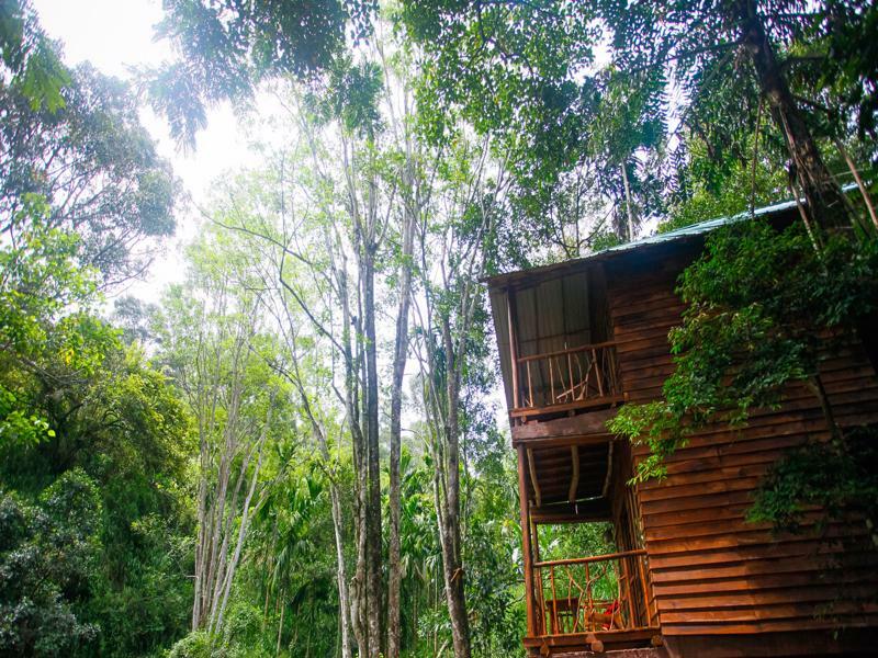 Ella Ecolodge מראה חיצוני תמונה
