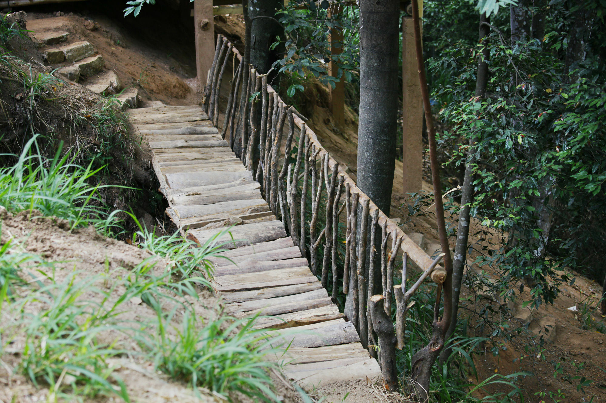 Ella Ecolodge מראה חיצוני תמונה