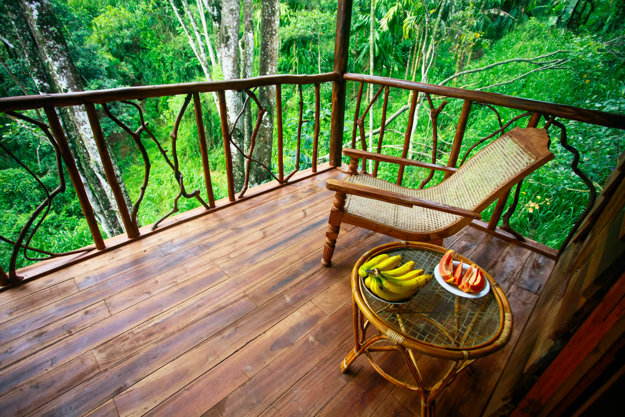 Ella Ecolodge מראה חיצוני תמונה