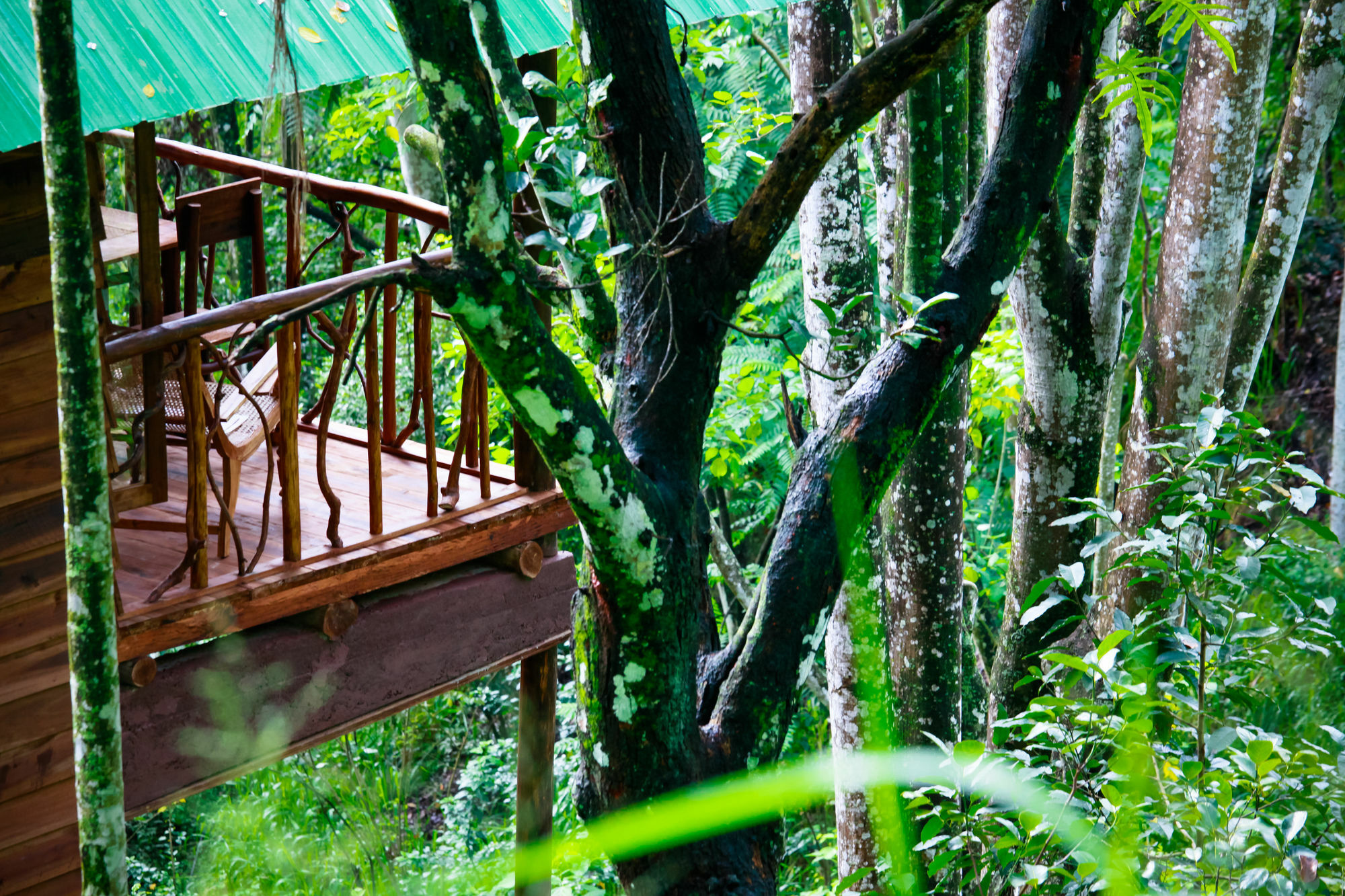 Ella Ecolodge מראה חיצוני תמונה