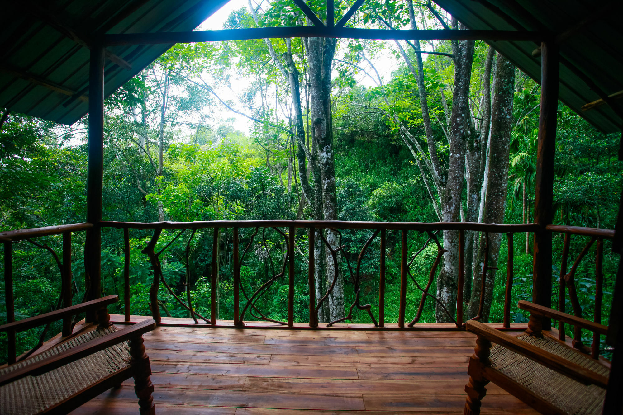 Ella Ecolodge מראה חיצוני תמונה