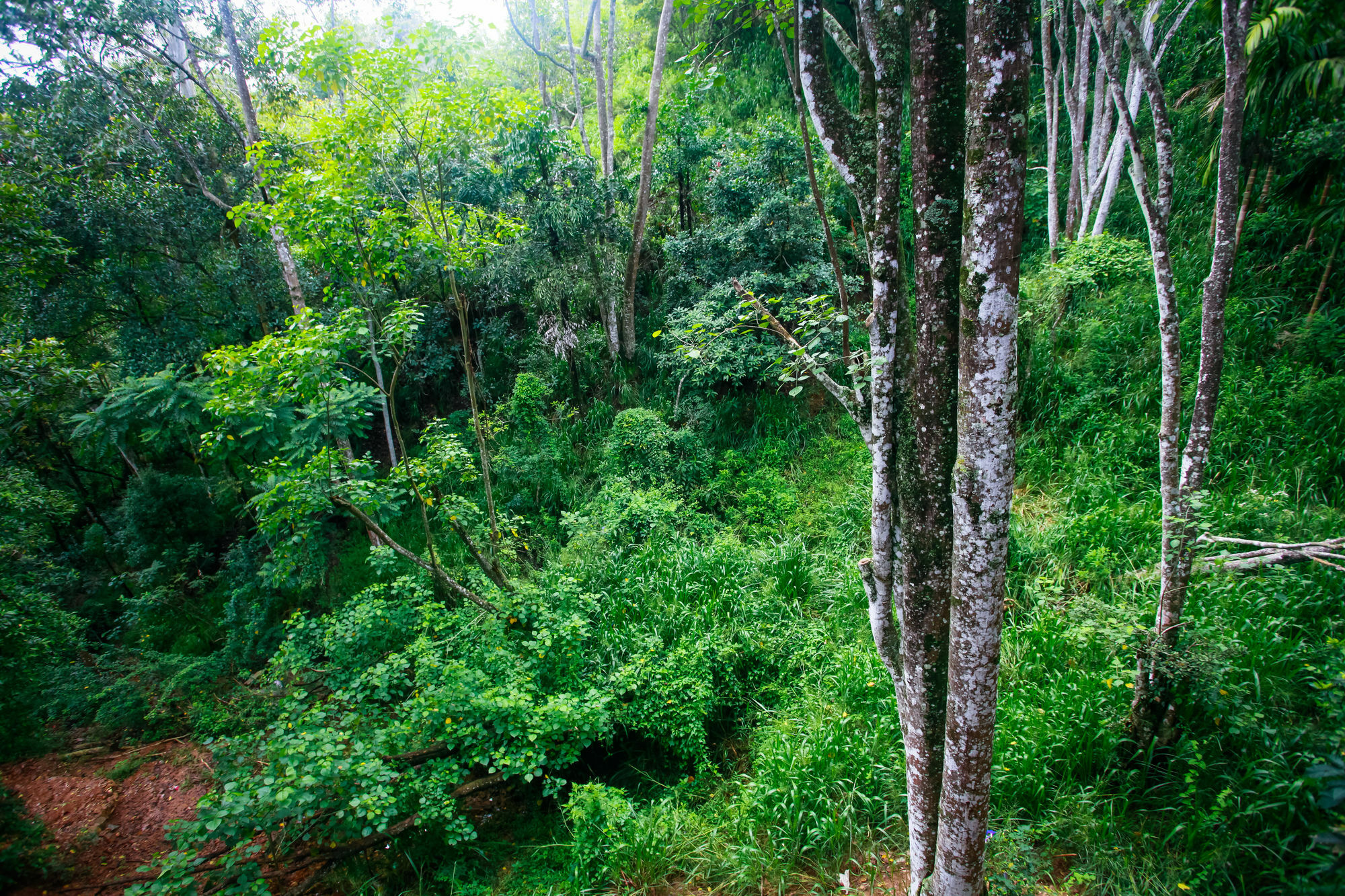 Ella Ecolodge מראה חיצוני תמונה